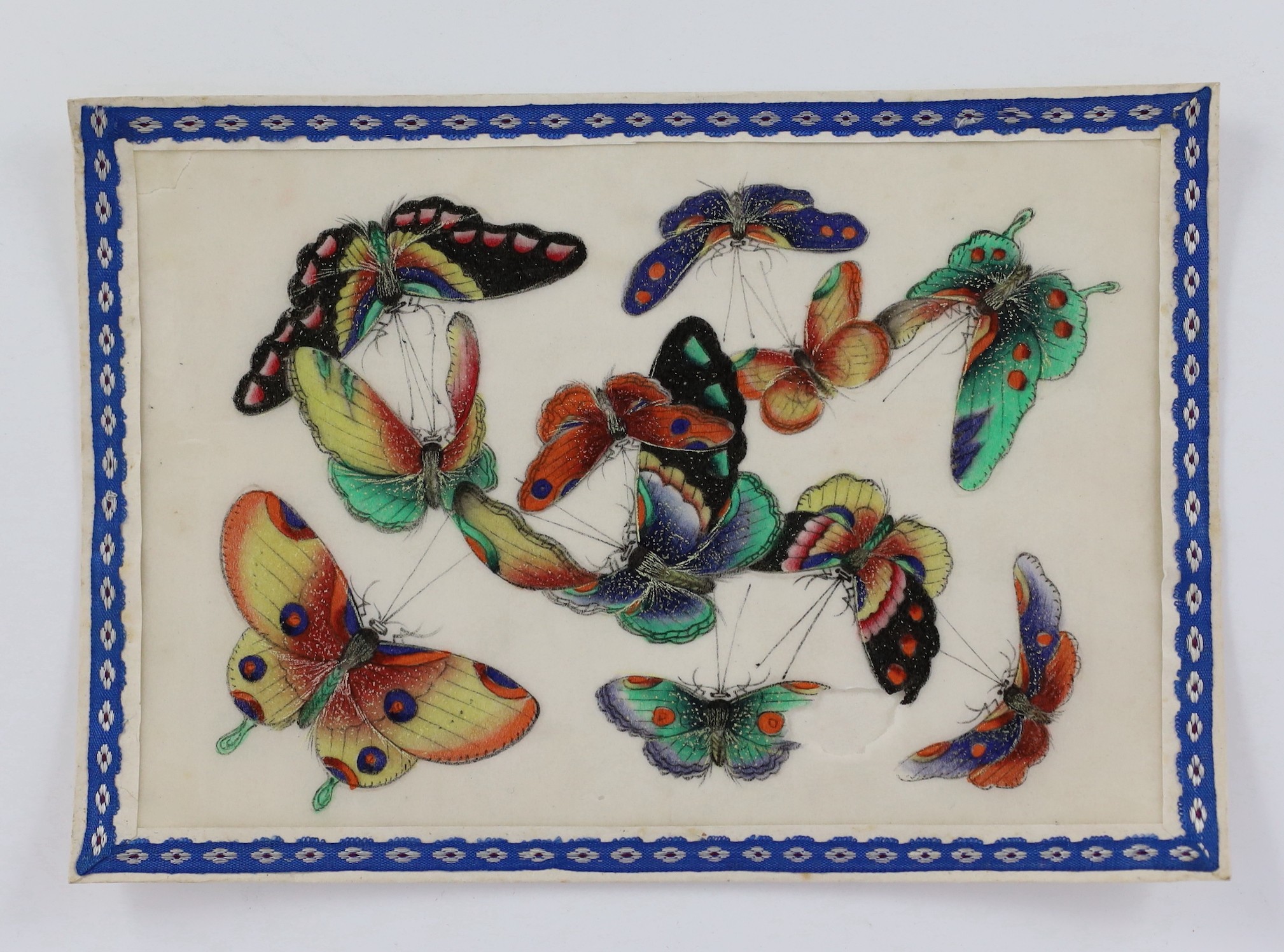 A set of twelve Chinese pith paintings of butterflies and insects, mid 19th century, total size 18cm x 12.2cm, small holes to paper